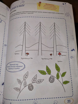 Вера Шаева: Ментальные прописи. 3-4 года