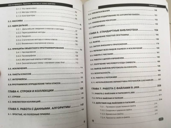 Сеттер, Яшин: Java на примерах. Практика, практика и только практика