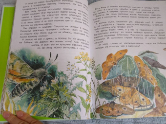 Николай Сладков: Лесные сказки