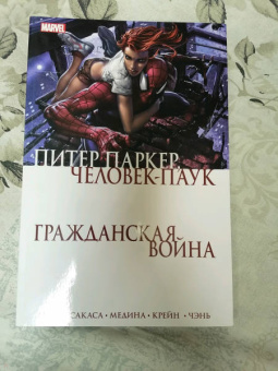 Роберто Агирре-Сакаса: Гражданская война. Питер Паркер - Человек Паук