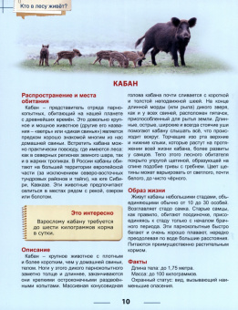 Ярослава Соколова: Энциклопедия. Кто в лесу живет?