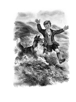 Найт Эрик Моубрей: Лесси