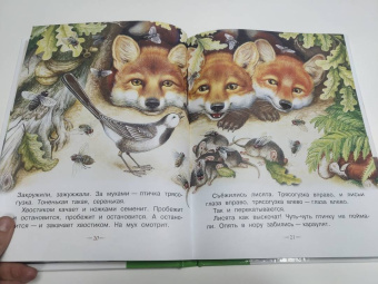 Николай Сладков: Бюро лесных услуг