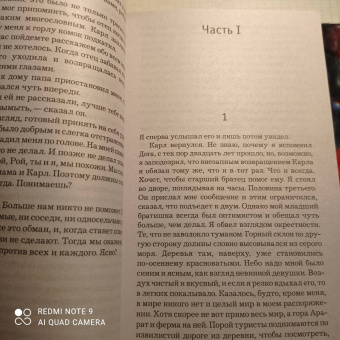 Ю Несбё: Королевство