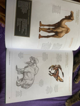 Рис, Метени, Бейкер: Создание фантастических существ. Полный курс. От разработки концепта до готового персонажа