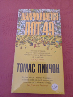Томас Пинчон: Выкрикивается лот 49