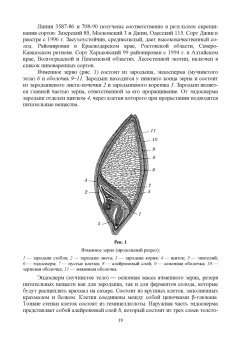 Олег Хозиев: Технология пивоварения. Учебник
