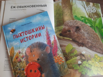 Ирина Гурина: Пыхтошкины истории