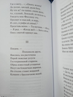 Александр Пушкин: Евгений Онегин