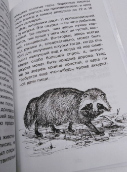 Сергей Аржанов: Занимательная география