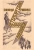 Зинаида Гиппиус: Петербургские дневники 1914-1919 Зинаида Гиппиус: Петербургские дневники 1914-1919