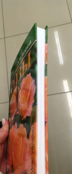 Александра Теорина: Розы. Моё увлечение