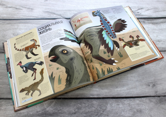 Дора Мартин: Все динозавры. Моя первая энциклопедия