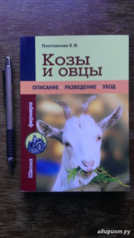 Елена Плотникова: Козы и овцы