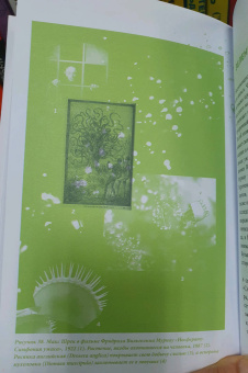 Сюзанна Ведлих: Книга слизи. Скользкий след в истории Земли