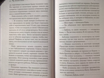 Холли Блэк: Истории фейри. Железные земли