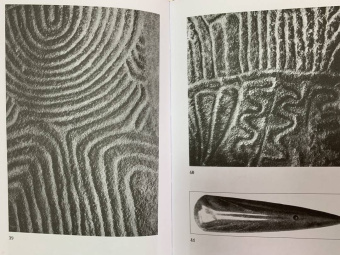 Пьер-Ролан Жио: Бретонцы. Романтики моря