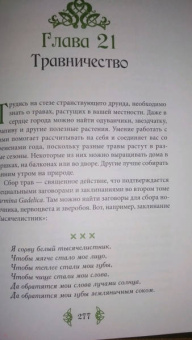 ван дер Ховен Джоанна: Книга странствующего друида. Полное руководство для одинокого искателя