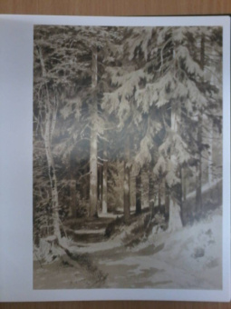Иван Иванович Шишкин. 1832-1898. Картины, рисунки и акварели, гравюры из фондов Русского музея