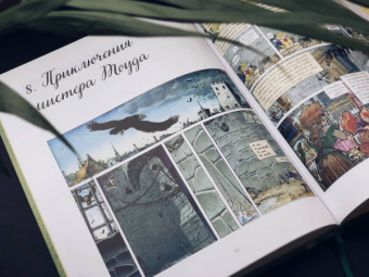 Мишель Плесси: Ветер в ивах