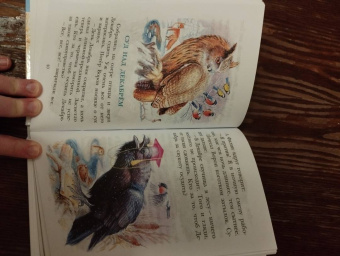 Николай Сладков: Лесные сказки