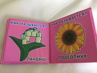 Книга для купания "Как называется?" (1899ВВ/M6224)