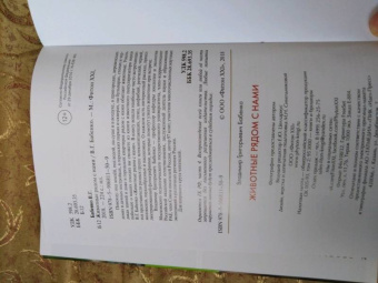 Владимир Бабенко: Животные рядом с нами