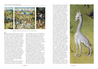 Александр Киселев: Иероним Босх. Большая коллекция