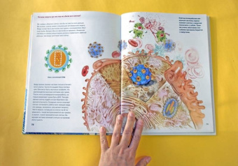 Егоров, Нечипоренко: Живой дом