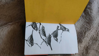 Эмма Донохью: Притяжение звезд