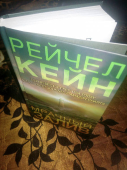 Рейчел Кейн: Мрачный залив