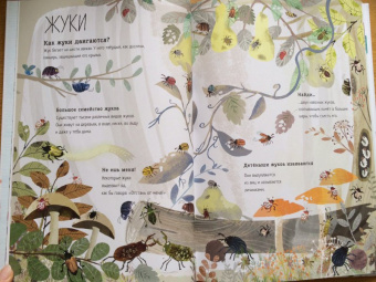 Зоммер, Тейлор: Большая книга букашек