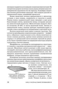 Сафронова, Дацун, Максимова: Сырье и материалы рыбной промышленности. Учебник. СПО