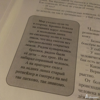 Тимур Максютов: Ограниченный контингент. Рожденные в СССР