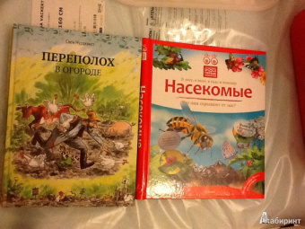 Владимир Горбатовский: Насекомые