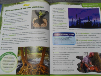 Вероника Пеллегрини: Вопросы и ответы обо всем на свете