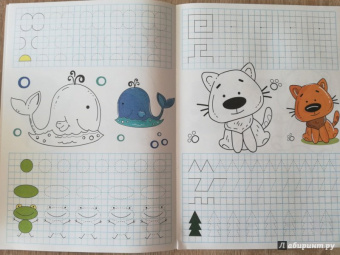 Умные клеточки. Линии и фигуры