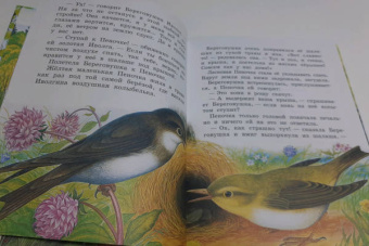 Виталий Бианки: Лесные домишки. Сказки