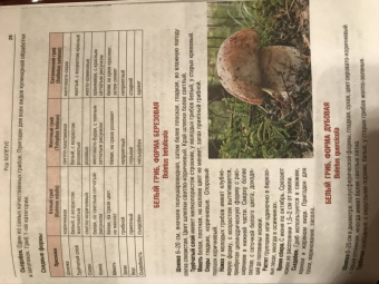 Иван Куреннов: Грибы. Полная иллюстрированная энциклопедия