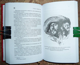 Рид Майн: Желтый вождь