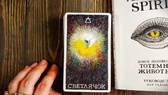 Ким Кранс: The Wild Unknown Animal Spirit. Дикое Неизвестное тотемное животное. Колода-оракул (63 карты и рук.)