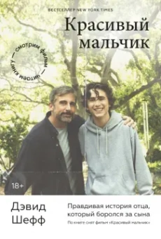 Дэвид Шефф: Красивый мальчик. Правдивая история отца, который боролся за сына