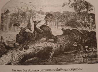 Рид Майн: Письмо и пуля