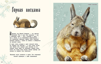Бен Хоар: Удивительные животные. Энциклопедия