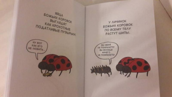 Брук Баркер: Грустные факты о детенышах