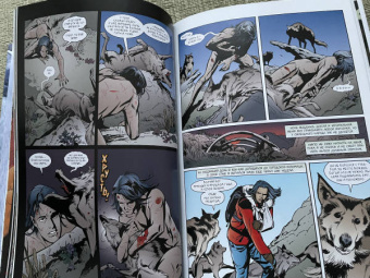 Билл Уиллингхэм: Сказки. Книга 6