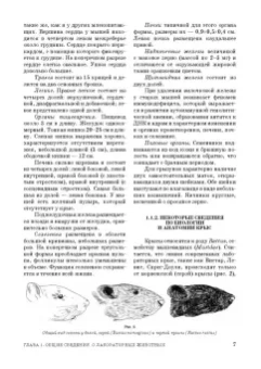 Стекольников, Щербаков, Яшин: Лабораторные животные. Учебное пособие для вузов