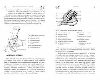 Ханс-Дитер Кёрбер: Болезни копыт и ковка лошадей