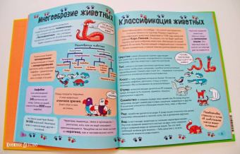 Noodle Fuel: Звери. От броненосца до зебры. Самые невероятные факты, рекорды и достижения