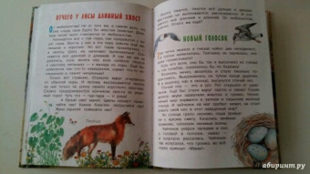 Николай Сладков: Лесные сказки